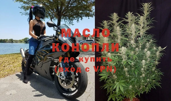 индика Абинск