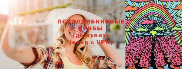 соль ск Алзамай
