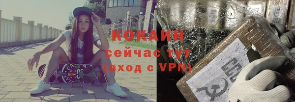 индика Абинск