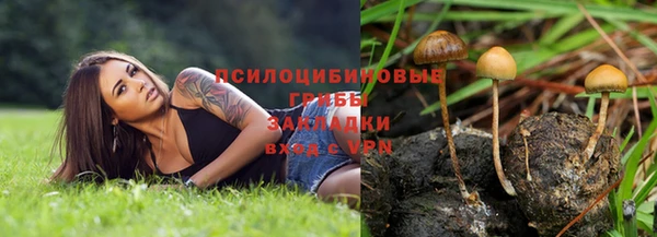 соль ск Алзамай